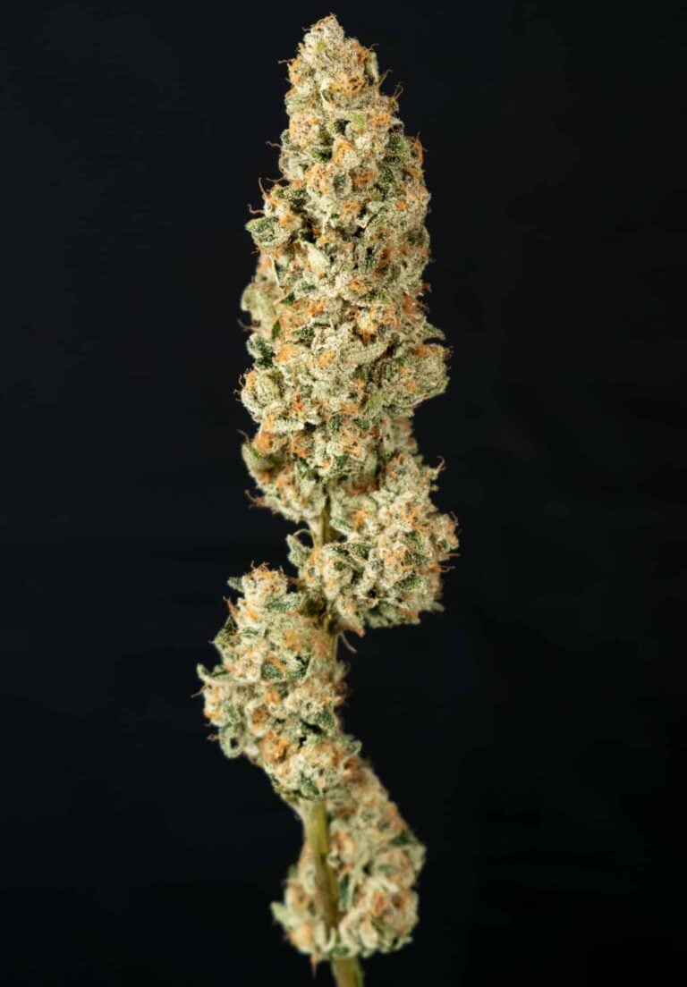 learn more about SuperBoof