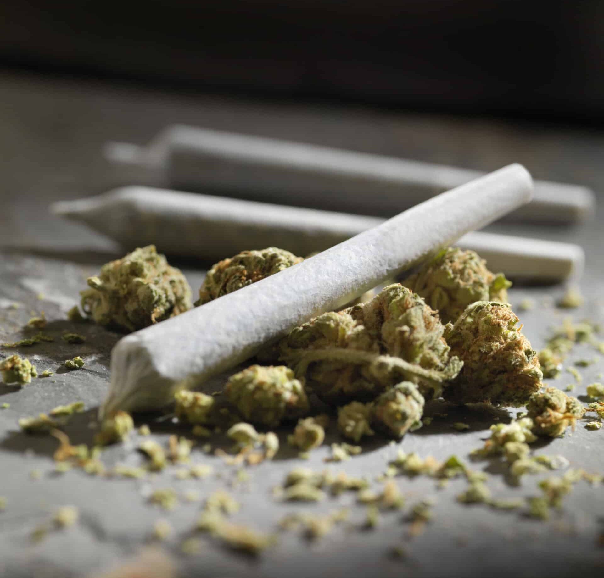 Pre-Rolled Marijuana Joints