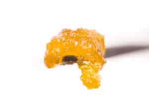 live resin or shatter cannabis concentrates