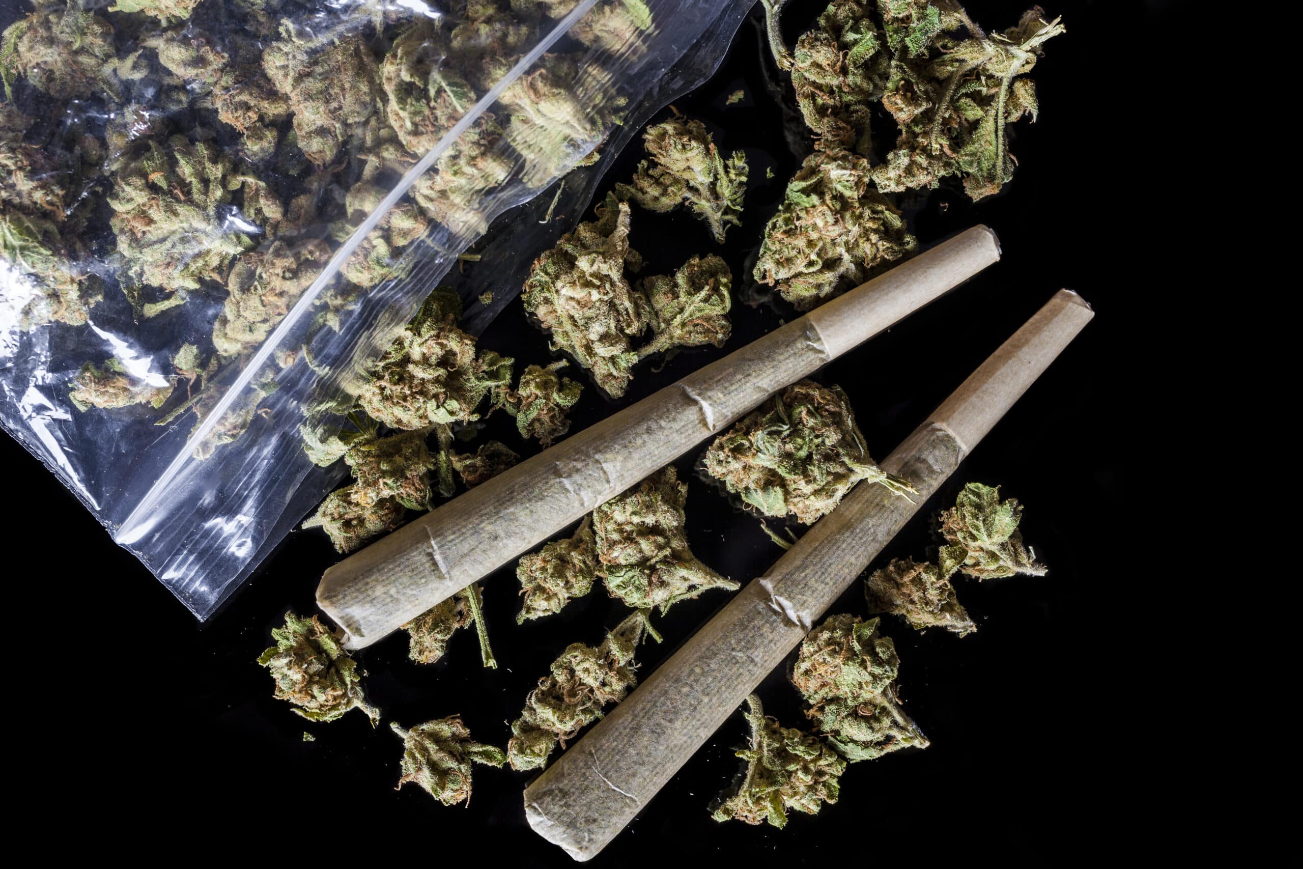 Medical cannabis joints and buds scattered from package black above